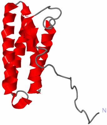 Image NMR Structure - model 1