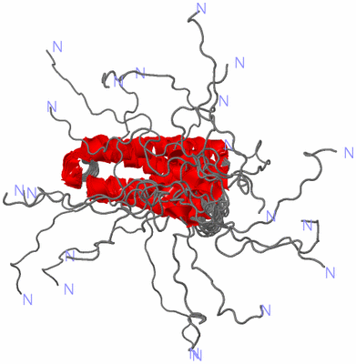 Image NMR Structure - all models