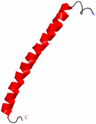 Image NMR Structure - model 1