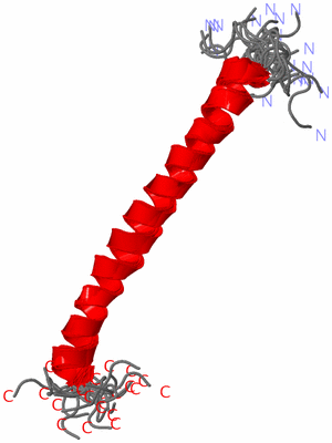 Image NMR Structure - all models