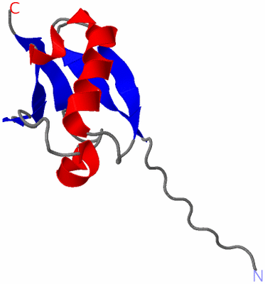 Image NMR Structure - model 1