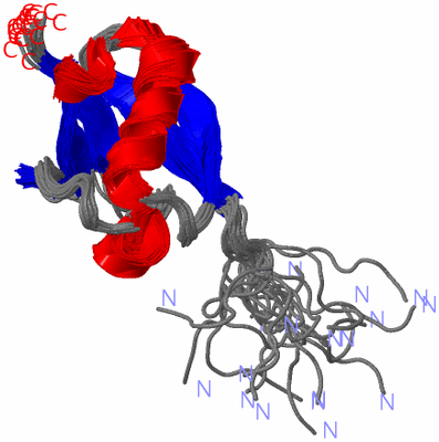 Image NMR Structure - all models