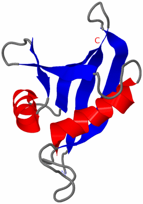 Image NMR Structure - model 1