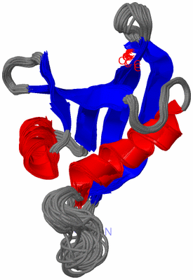 Image NMR Structure - all models