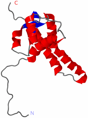 Image NMR Structure - model 1