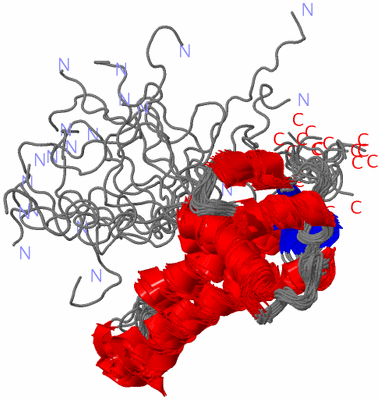 Image NMR Structure - all models