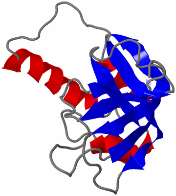 Image NMR Structure - model 1