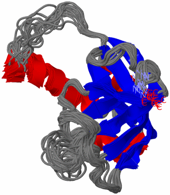 Image NMR Structure - all models