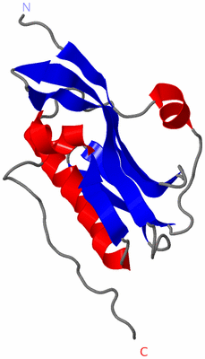 Image NMR Structure - model 1