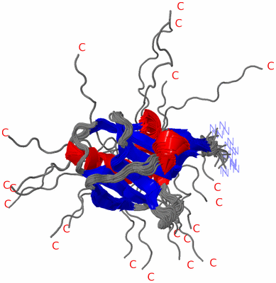 Image NMR Structure - all models