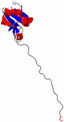 Image NMR Structure - model 1
