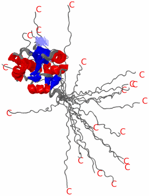 Image NMR Structure - all models