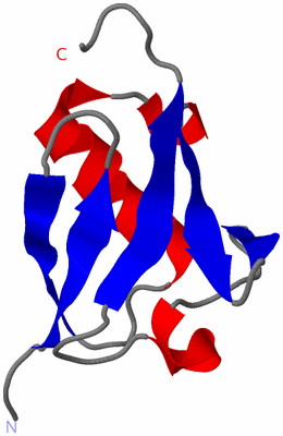 Image NMR Structure - model 1