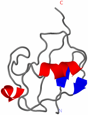 Image NMR Structure - model 1