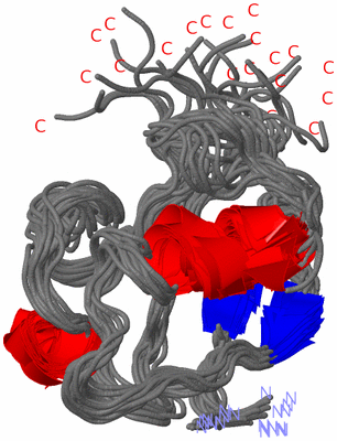 Image NMR Structure - all models