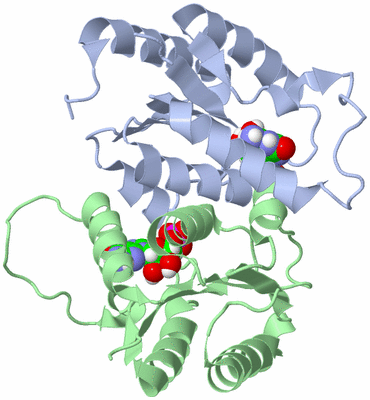 Image NMR Structure - model 1