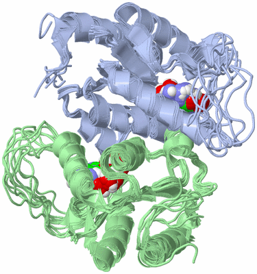 Image NMR Structure - all models