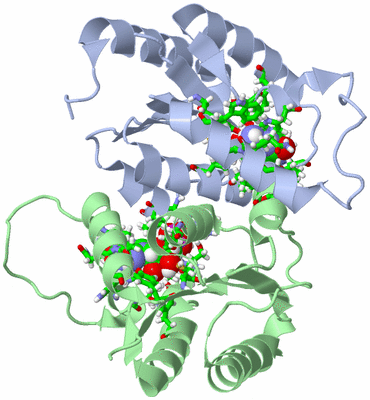 Image NMR Structure - model 1, sites