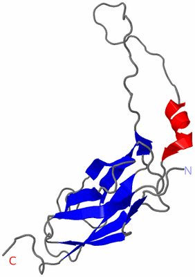 Image NMR Structure - model 1