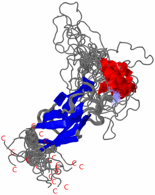 Image NMR Structure - all models