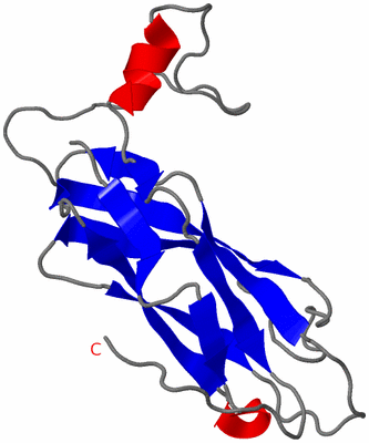 Image NMR Structure - model 1