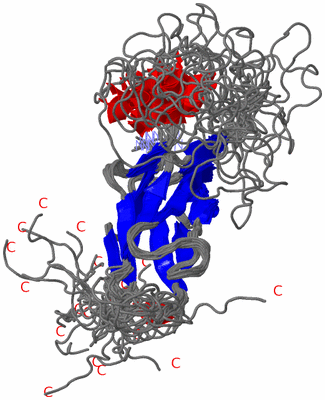 Image NMR Structure - all models