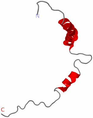 Image NMR Structure - model 1