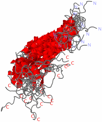 Image NMR Structure - all models