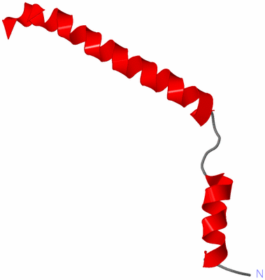 Image NMR Structure - model 1
