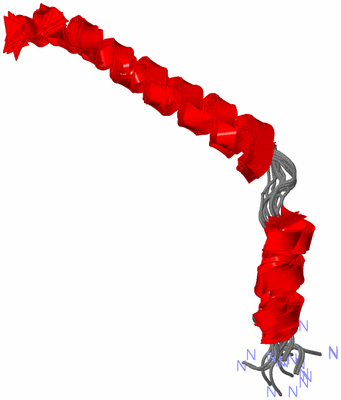 Image NMR Structure - all models