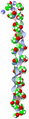 Image NMR Structure - model 1