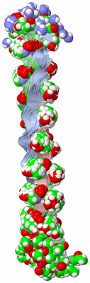 Image NMR Structure - all models