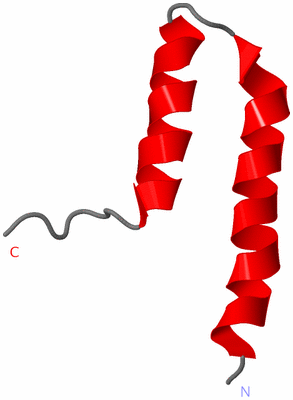 Image NMR Structure - model 1