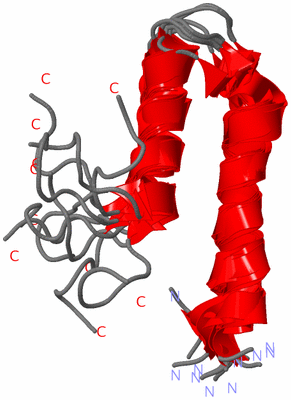 Image NMR Structure - all models