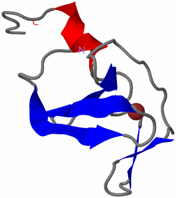 Image NMR Structure - model 1