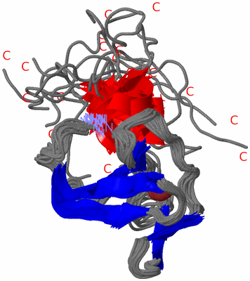 Image NMR Structure - all models