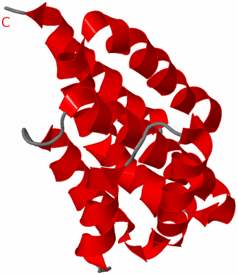 Image NMR Structure - model 1