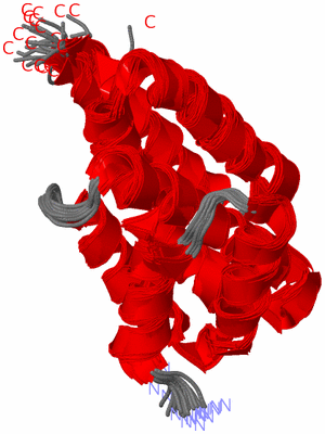 Image NMR Structure - all models