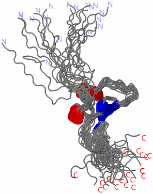 Image NMR Structure - all models