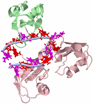 Image NMR Structure - model 1