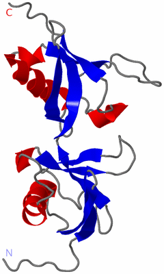 Image NMR Structure - model 1