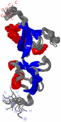 Image NMR Structure - all models