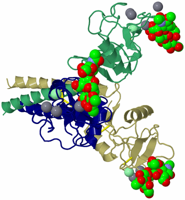 Image Asym./Biol. Unit