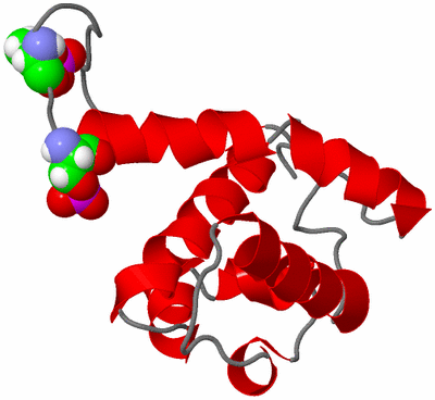 Image NMR Structure - model 1