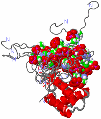 Image NMR Structure - all models