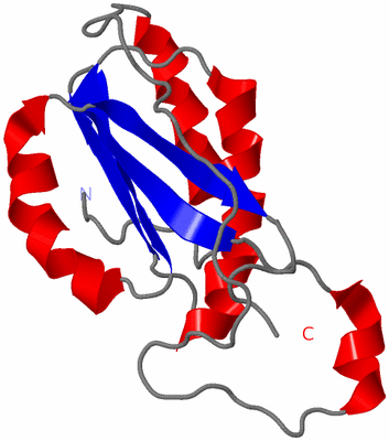 Image NMR Structure - model 1