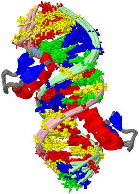 Image NMR Structure - all models