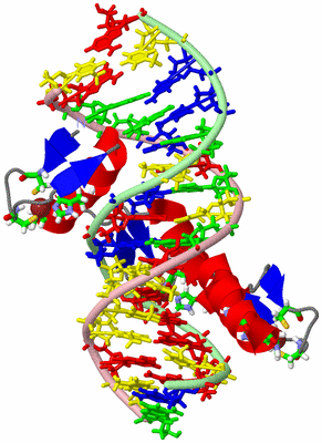 Image NMR Structure - model 1, sites