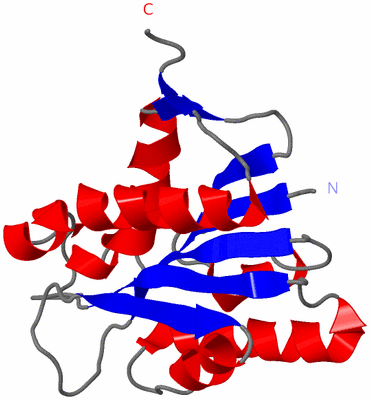 Image NMR Structure - model 1