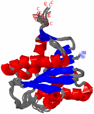 Image NMR Structure - all models